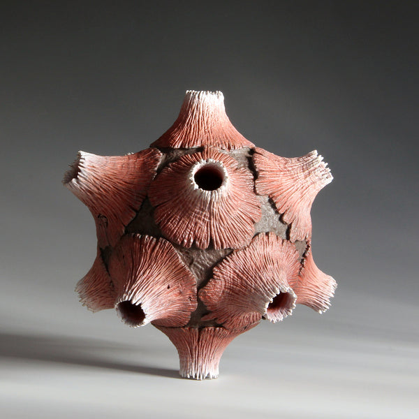 The Beautiful Red and Its Twelve Volcanos