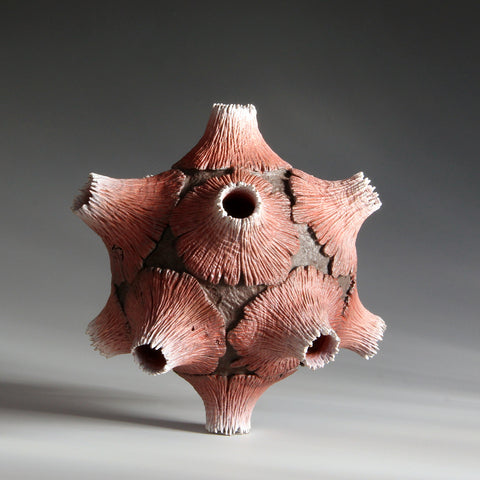 The Beautiful Red and Its Twelve Volcanos