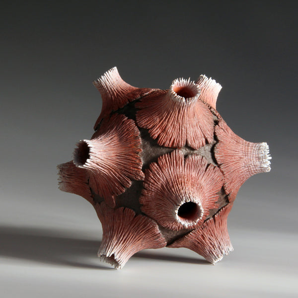 The Beautiful Red and Its Twelve Volcanos