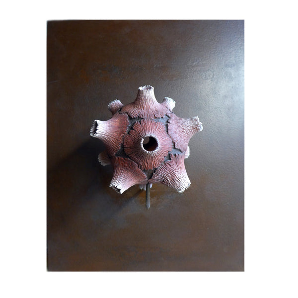 The Beautiful Red and Its Twelve Volcanos