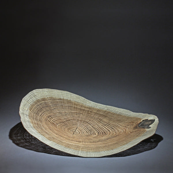 Dendrochronology 360