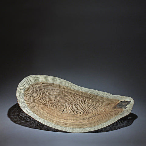 Dendrochronology 360