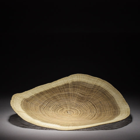 Dendrochronology 553