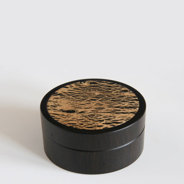 Box With Cactus Root